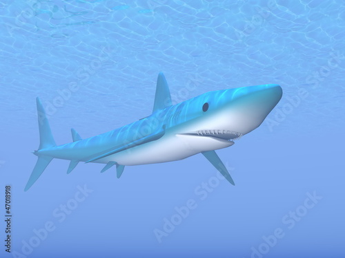Illustration: Shark - 3D render Shark - 3D render