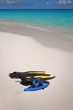 Snorkeling gear.