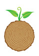 Tree Stump And Green Plant Sho...