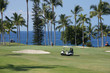 Unidentified golfers enjoy a game of golf
