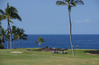 Unidentified golfers enjoy a game of golf