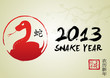 Snake Year