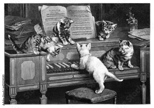 Illustration: Kittens - Chatons - Kätzchen Kittens - Chatons - Kätzchen