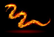 Fire snake