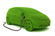 Grass covered car plugged into power supply
