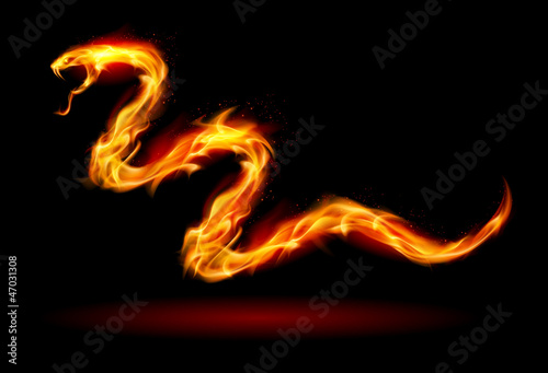 Vector: Fire snake Fire snake