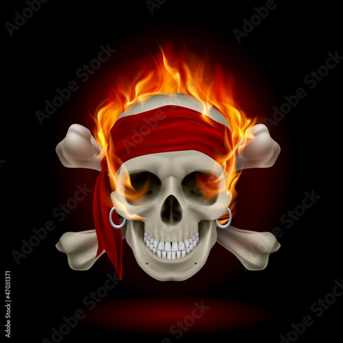 Vector: Skull in Flames Skull in Flames