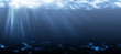 Unterwasser., lang