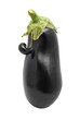 funny eggplant