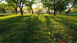 Video: autumn autumn