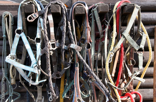 Photo: Details of diversity used horse reins Details of diversity used horse reins