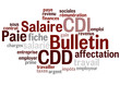 Nuage de Mot : Bulletin salaire paie