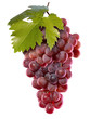 Fresh grapes