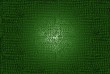 Vector: Reptyle skin texture Reptyle skin texture