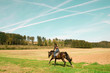 Photo: Horsewoman rides full speed. Horsewoman rides full speed.