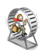 Hamster wheel