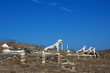 Ancient Delos, Greece Ancient Delos, Greece
