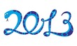 Snake 2013 - smile