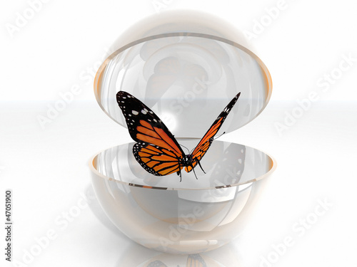Photo: the beautiful butterfly in a open bubble the beautiful butterfly in a open bubble