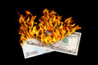 Burning money