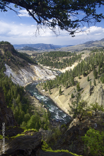 Photo: Yellowstone Yellowstone