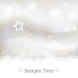 canvas print picture - Abstract Christmas background silver