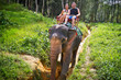 Foto: Elephant trekking in Khao Sok National Park, Thailand Elephant trekking in Khao Sok National Park, Thailand