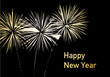Happy New Year!