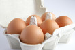 Half a dozen eggs