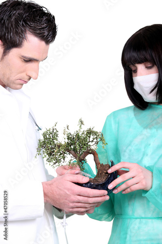 Photo: Two doctor with banzai tree Two doctor with banzai tree