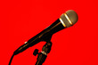 side view microphone