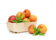 abricots