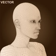 Vector conceptual wireframe human female head isolated