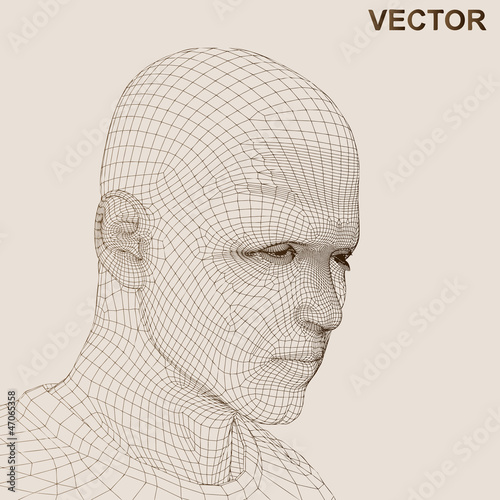 Vector: Vector conceptual wireframe human man head isolated Vector conceptual wireframe human man head isolated