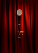 stage microphone