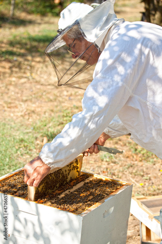 Photo: Beekeeper working in his apiary Beekeeper working in his apiary