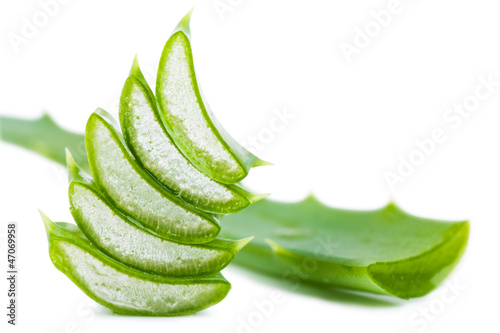 Photo: Aloe leaf Aloe leaf