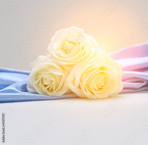 Photo: roses on silk background roses on silk background
