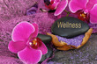 Wellness & Entspannung