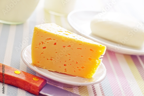Photo: fresh cheese on the white plate fresh cheese on the white plate