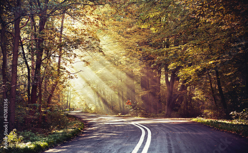 Photo: Great shoot of sunbeams above the road Great shoot of sunbeams above the road