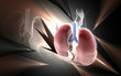 Human lungs