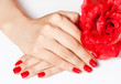 Hands with red flower
