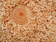 wood shavings and annual rings
