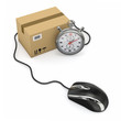 Online express delivery. Mouse, stopwatch and package.