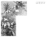 Menu Ornament : Exotic Birds