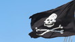 Video: pirate flag pirate flag