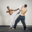 martial arts master