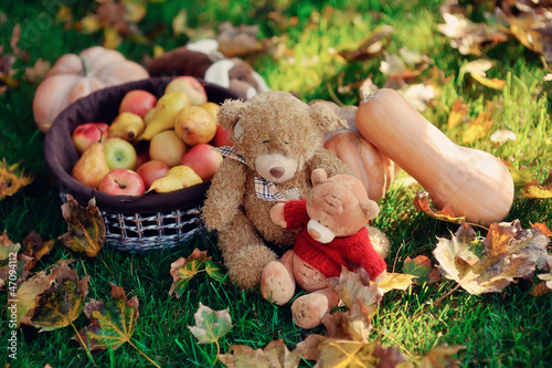 Photo: on the green grass is a fruit basket and a pumpkin sitting next on the green grass is a fruit basket and a pumpkin sitting next