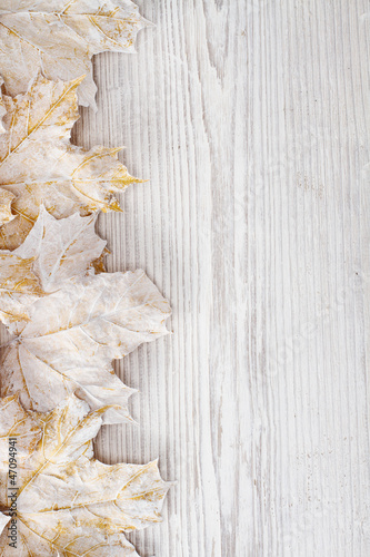 Photo: White leaves over wooden grunge background. Autumn maple White leaves over wooden grunge background. Autumn maple